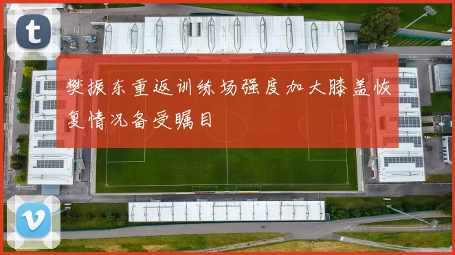 樊振东重返训练场强度加大膝盖恢复情况备受瞩目